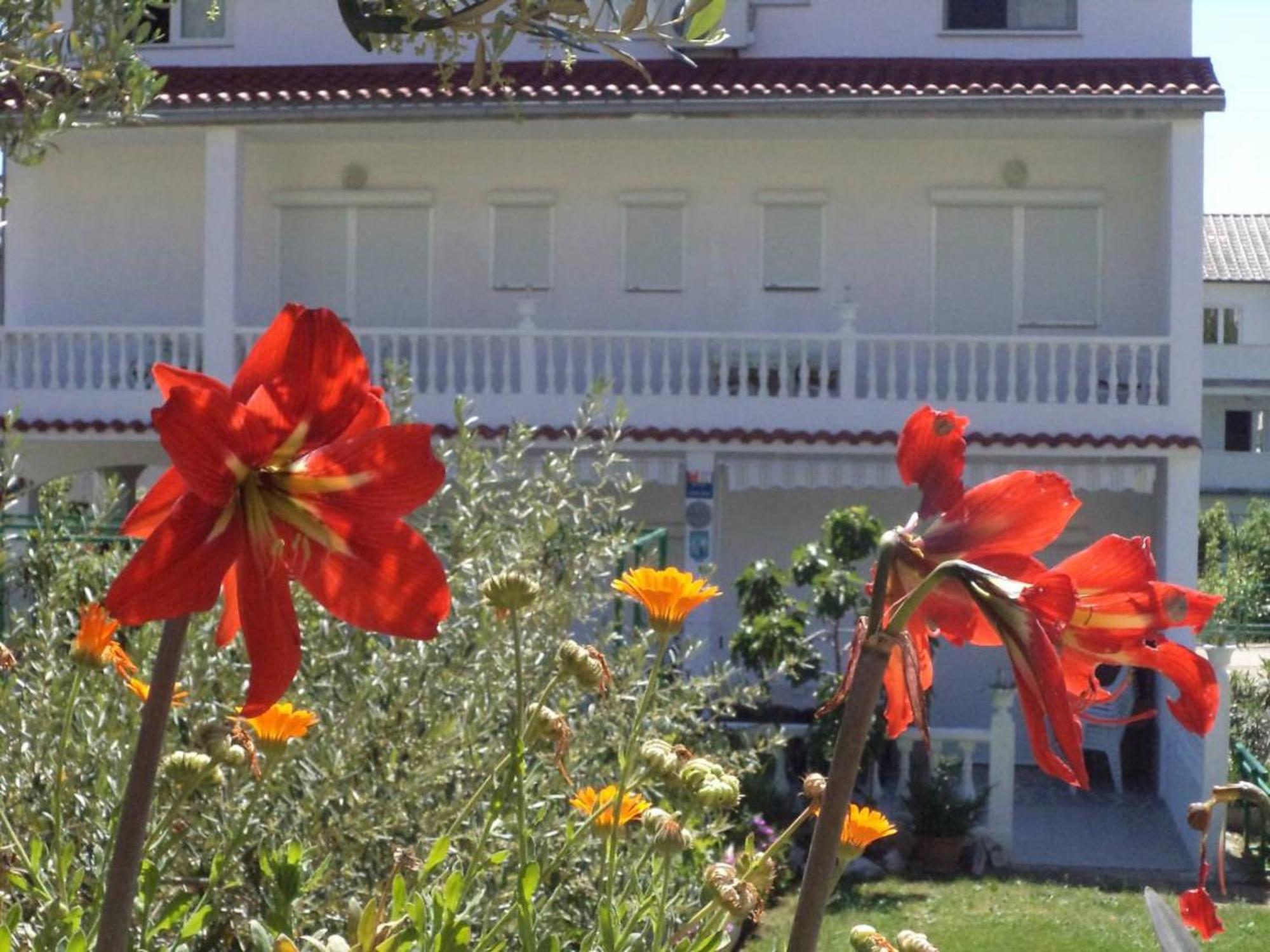 Lovely Meta Apartments Palit Dış mekan fotoğraf